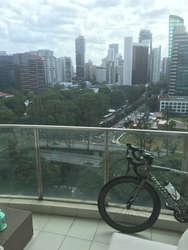Newton One (D11), Condominium #124395762